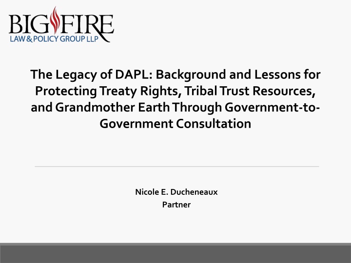 the legacy of dapl background and lessons