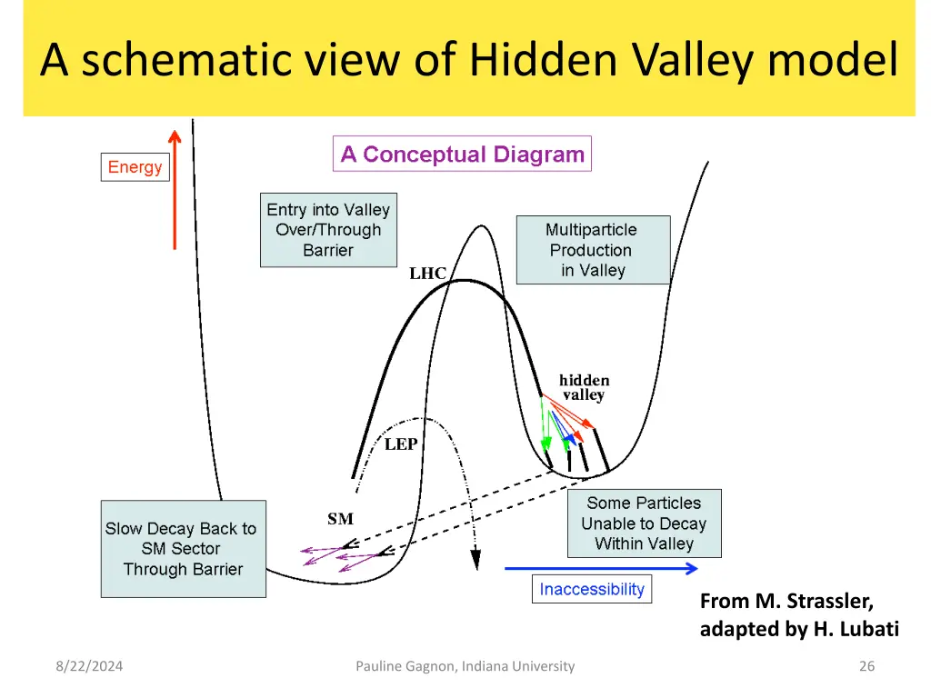 a schematic view of hidden valley model