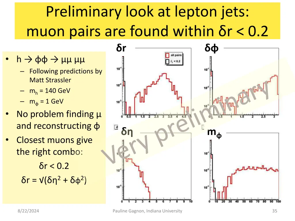 preliminary look at lepton jets muon pairs