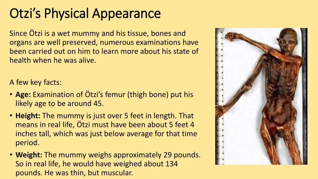 otzi s physical appearance otzi s physical