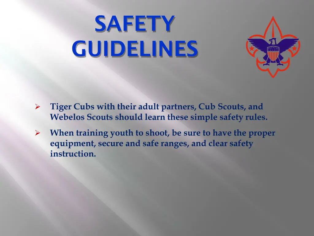 safety guidelines