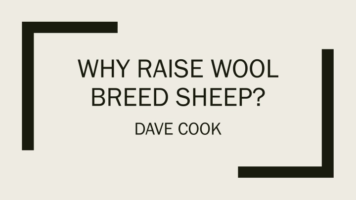 why raise wool breed sheep dave cook