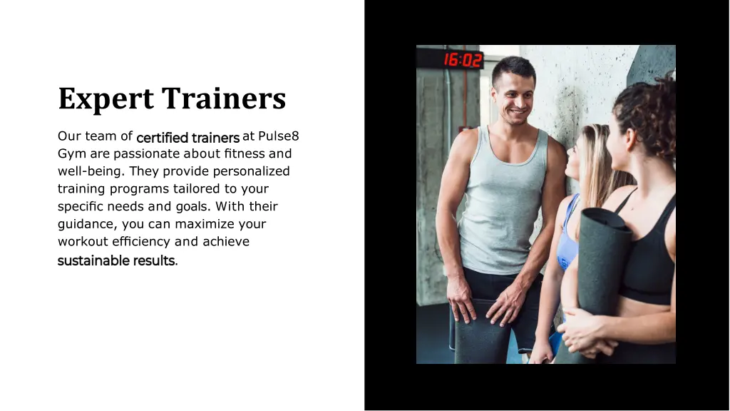 expert trainers