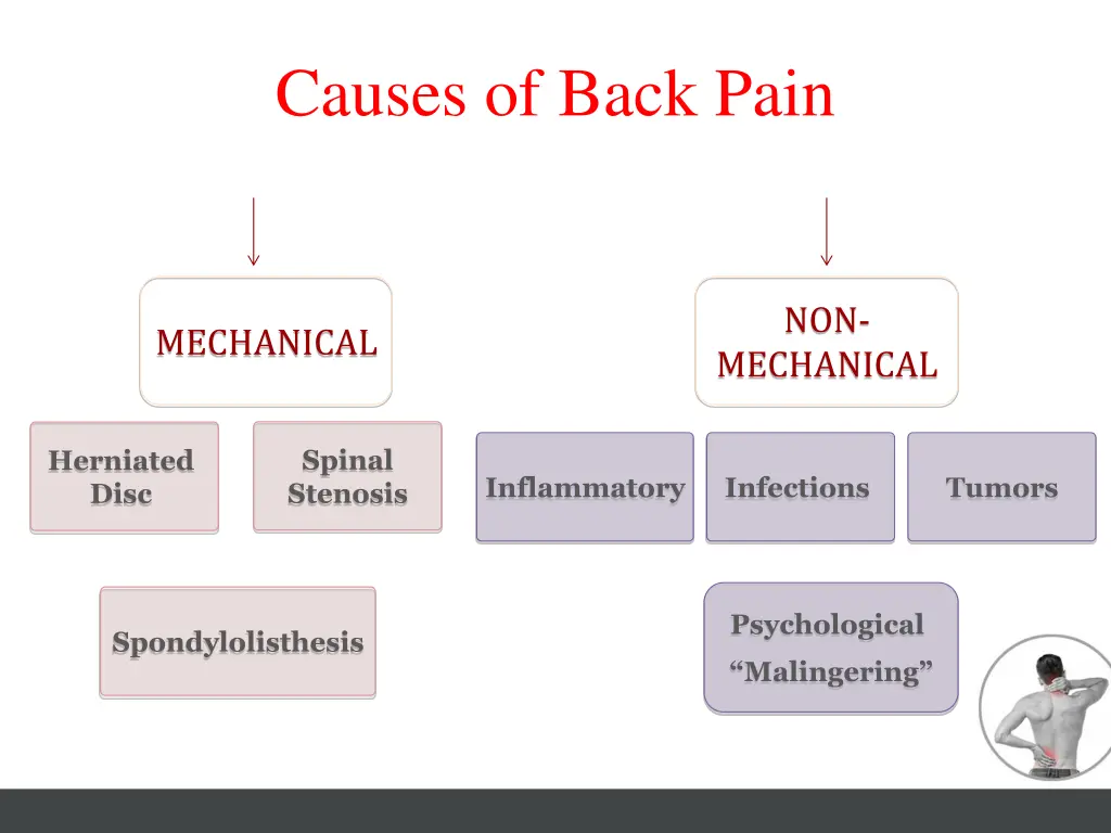 causes of back pain