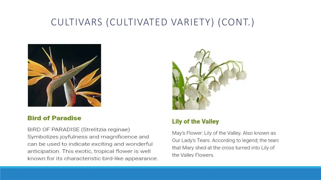 cultivars cultivated variety cont