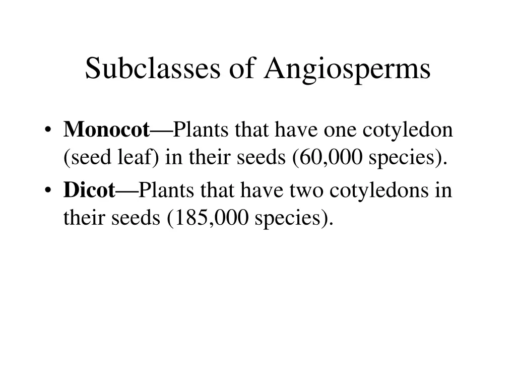 subclasses of angiosperms