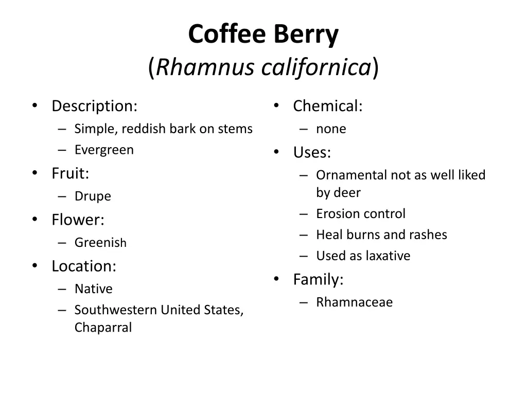 coffee berry rhamnus californica