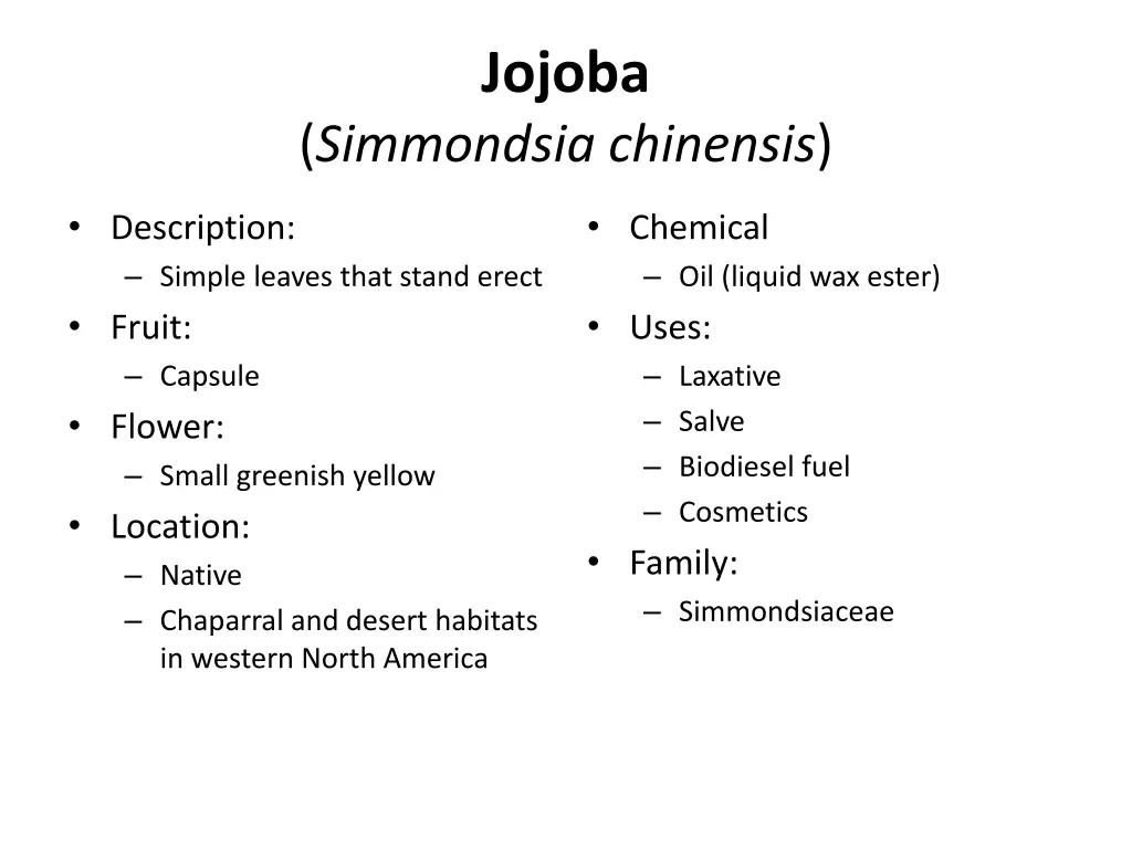 jojoba