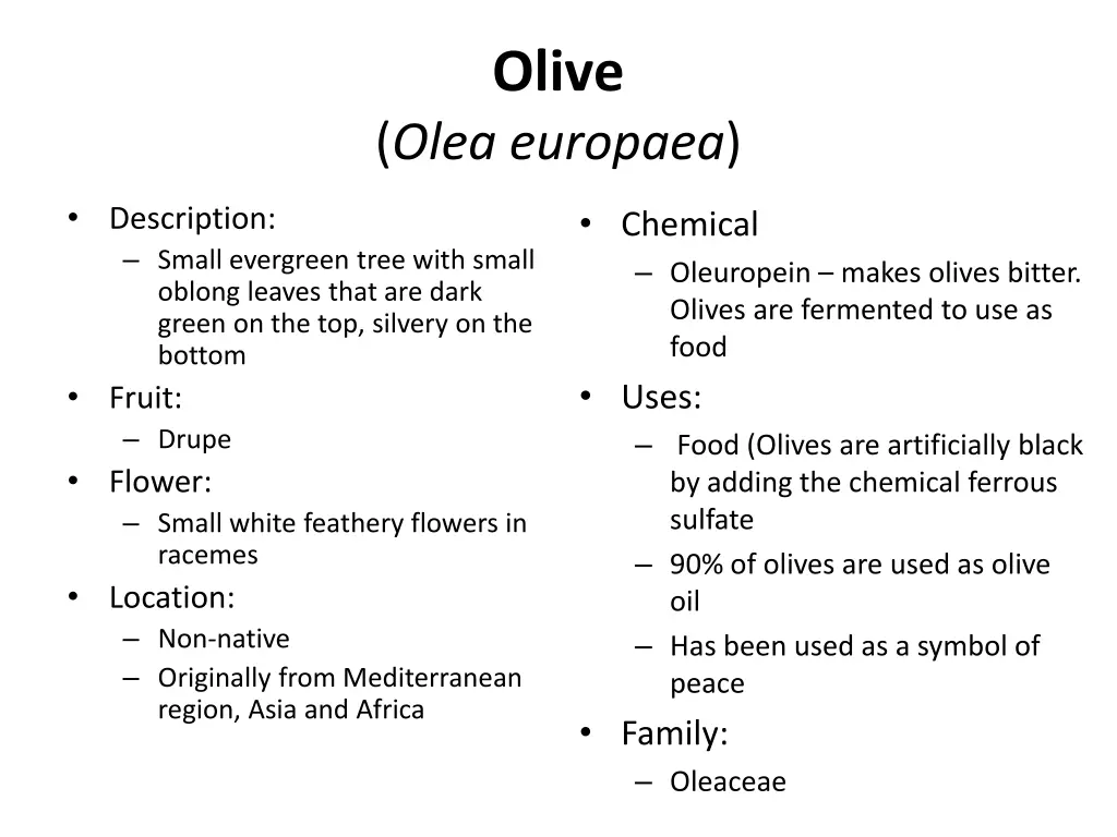 olive