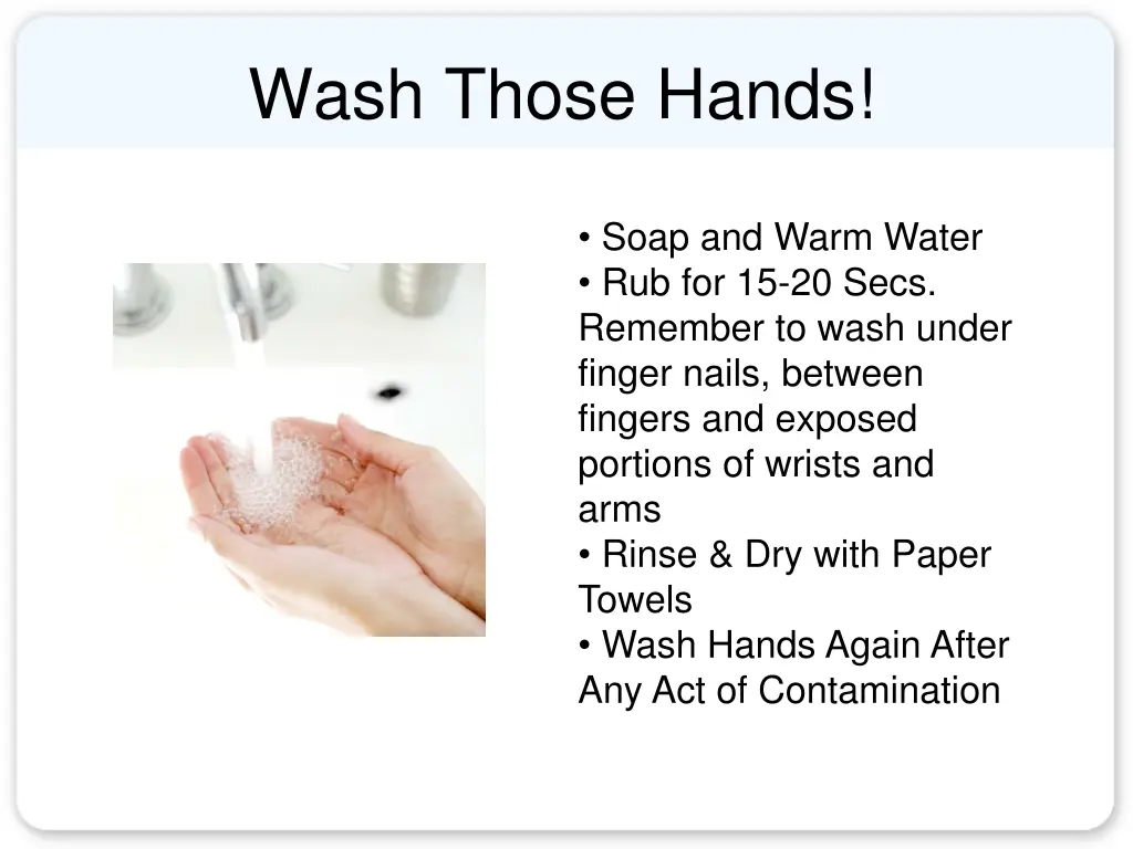 wash those hands