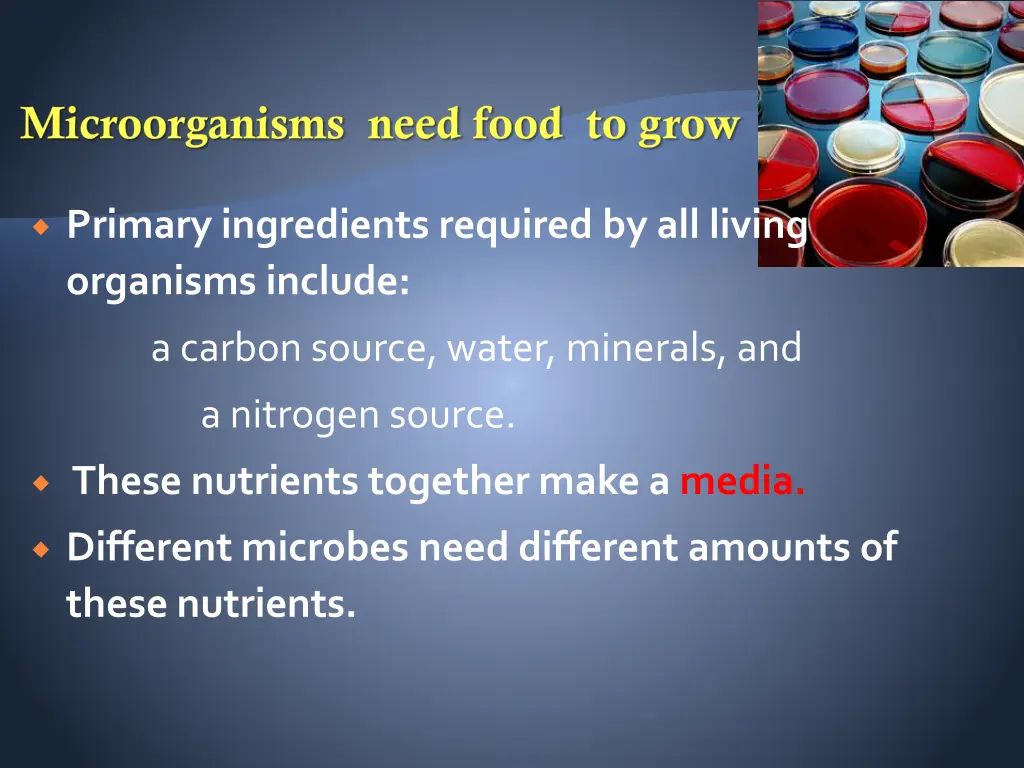 microorganisms need food to grow