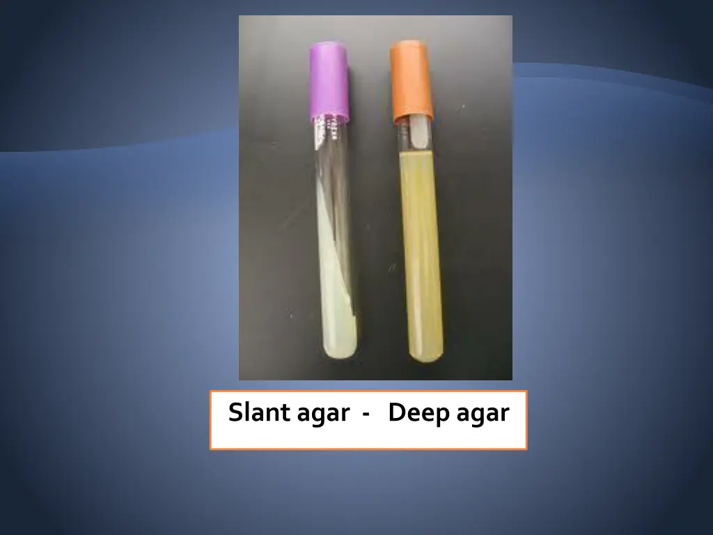 slant agar deep agar