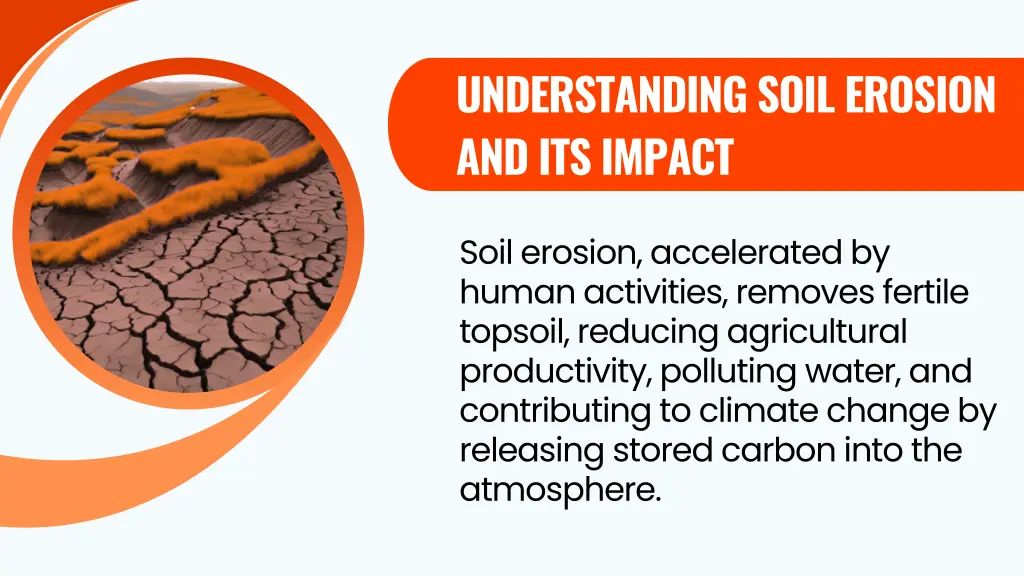 understanding soil erosion and its impact