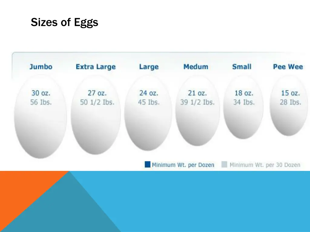 sizes of eggs