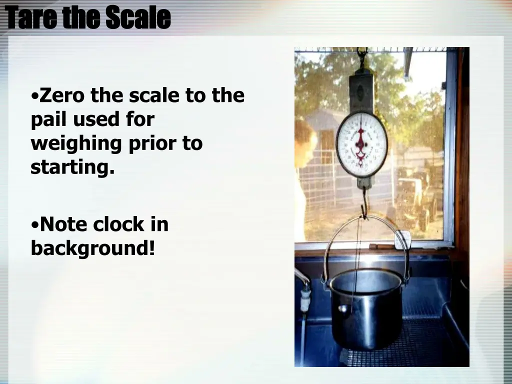 tare the scale tare the scale