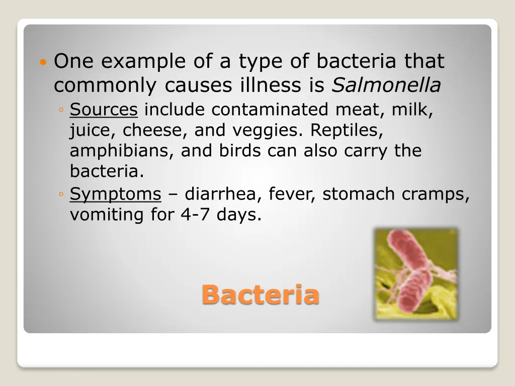 one example of a type of bacteria that commonly