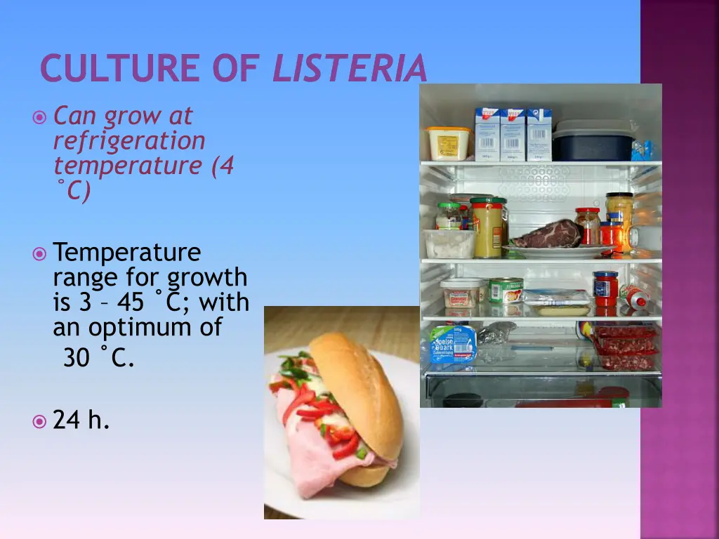 culture of listeria 2