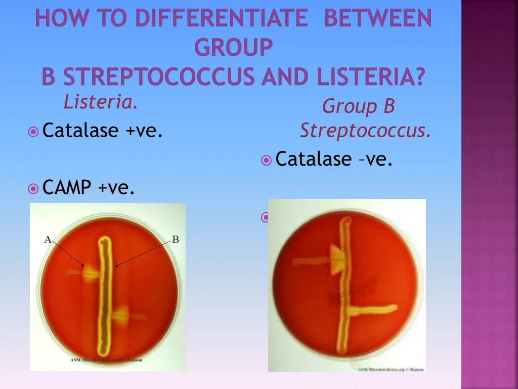 how to differentiate between group