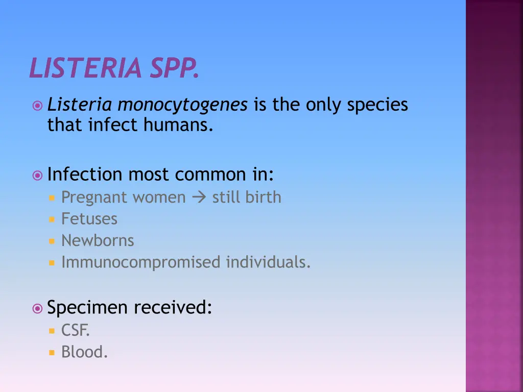 listeria spp