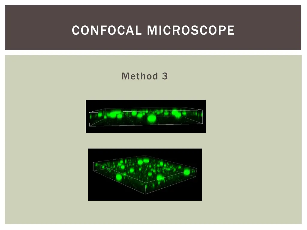 confocal microscope