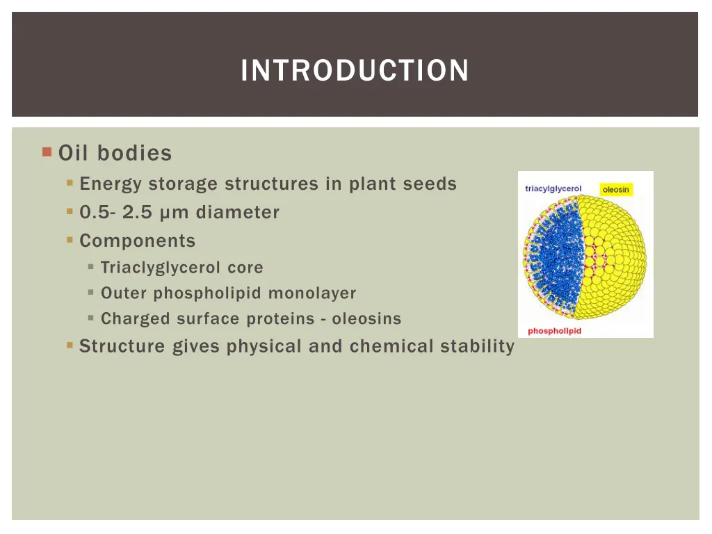 introduction 1