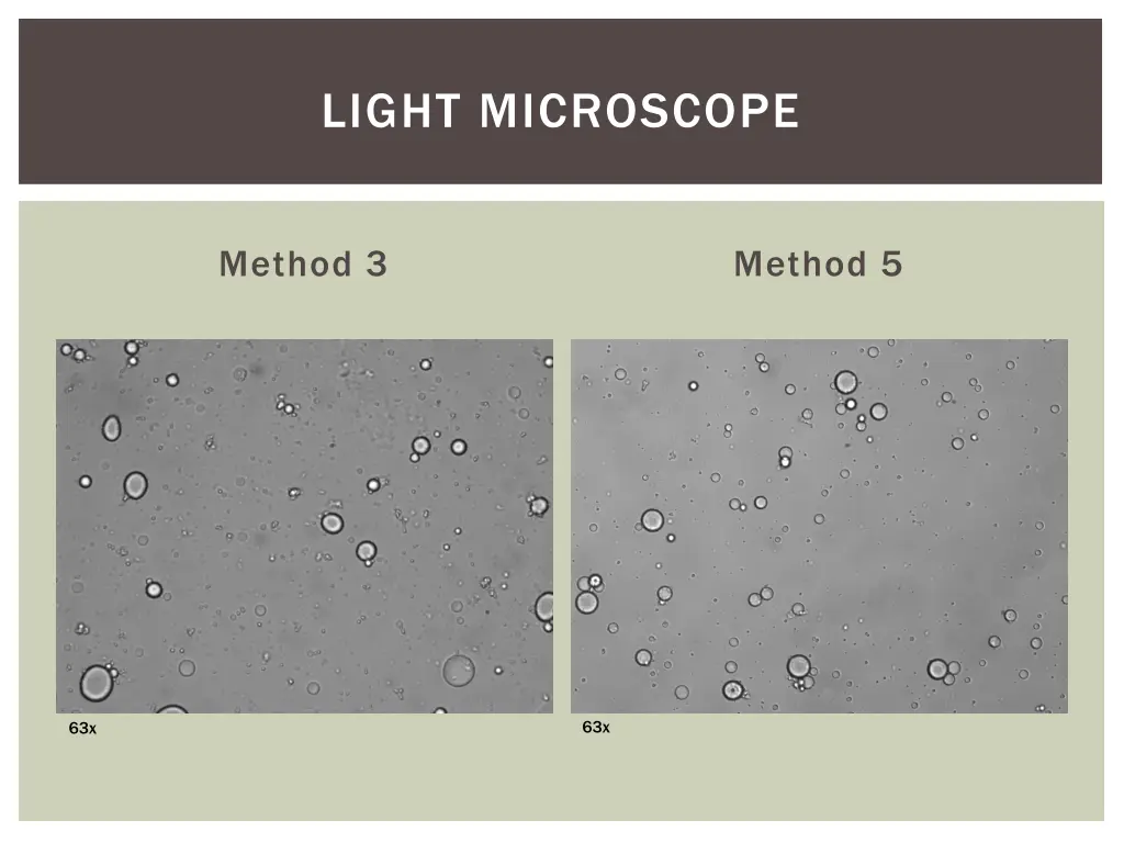 light microscope