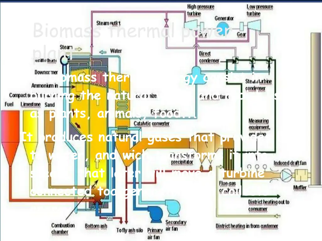 biomass thermal power plant the biomass thermal