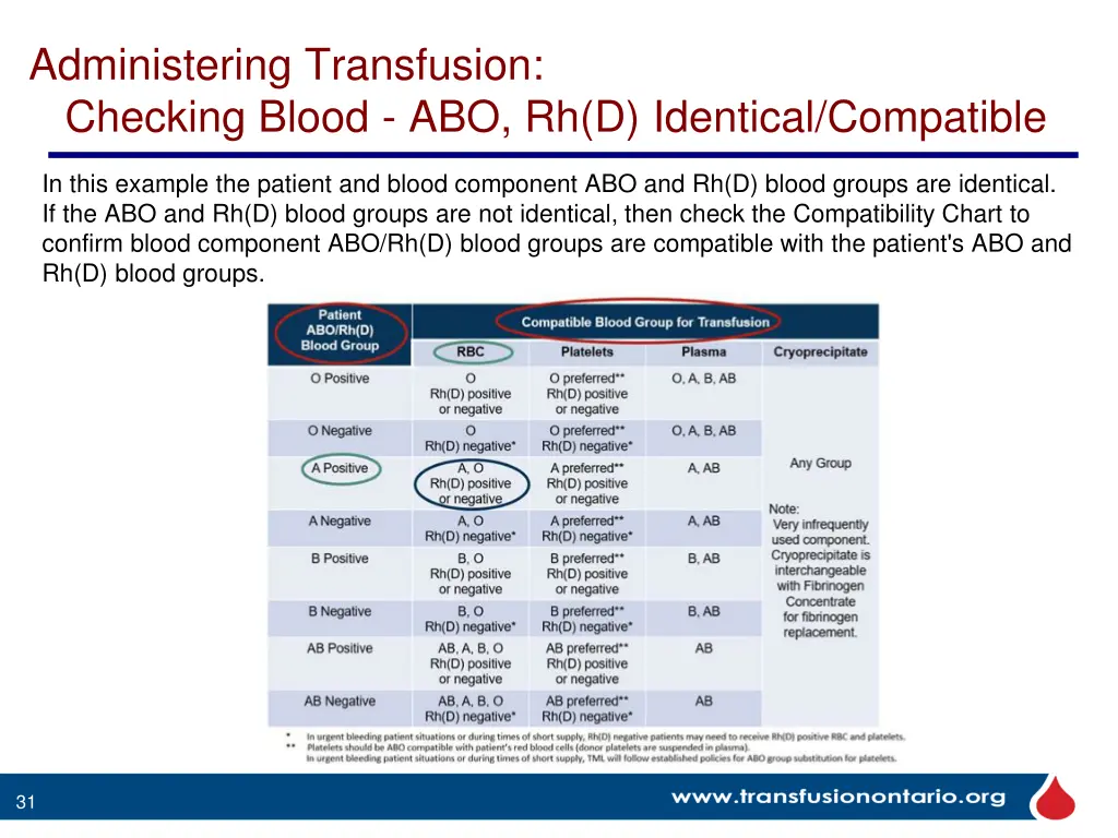 administering transfusion checking blood 3