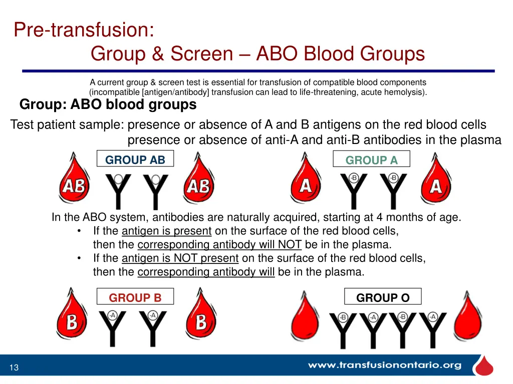 pre transfusion group screen abo blood groups