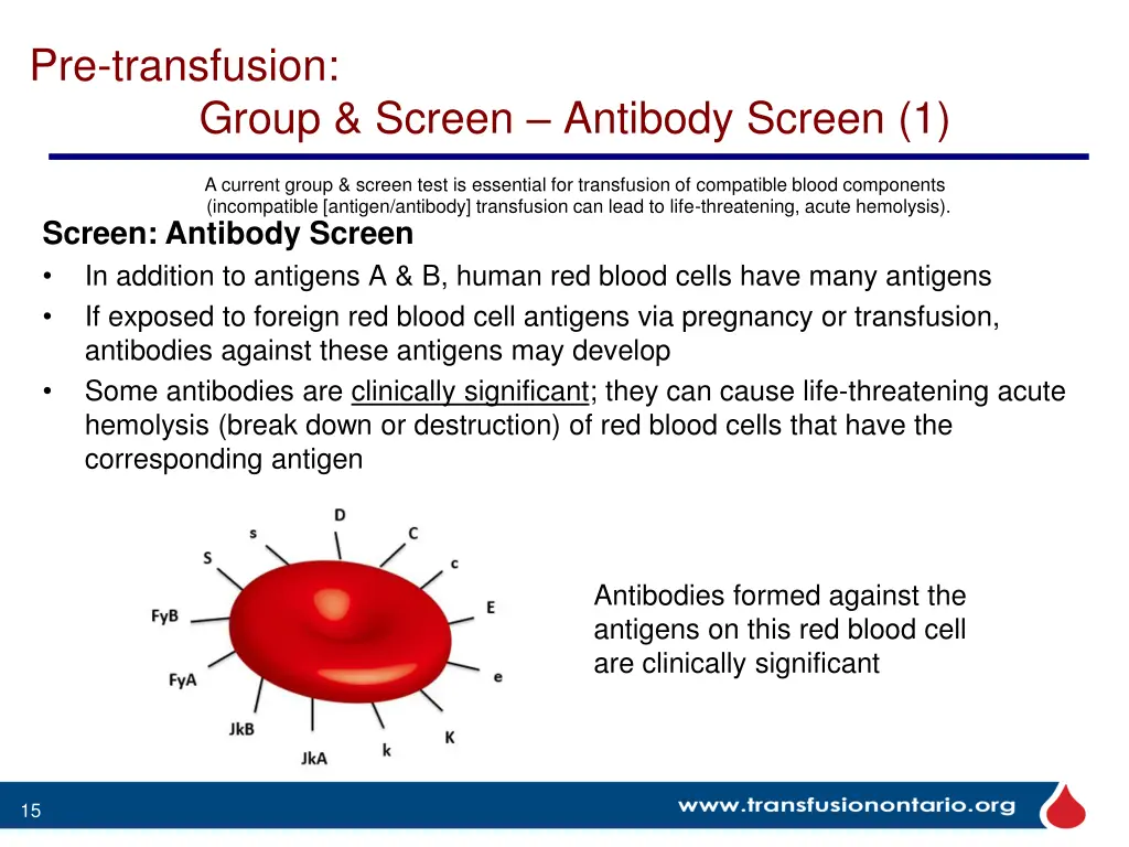 pre transfusion group screen antibody screen 1