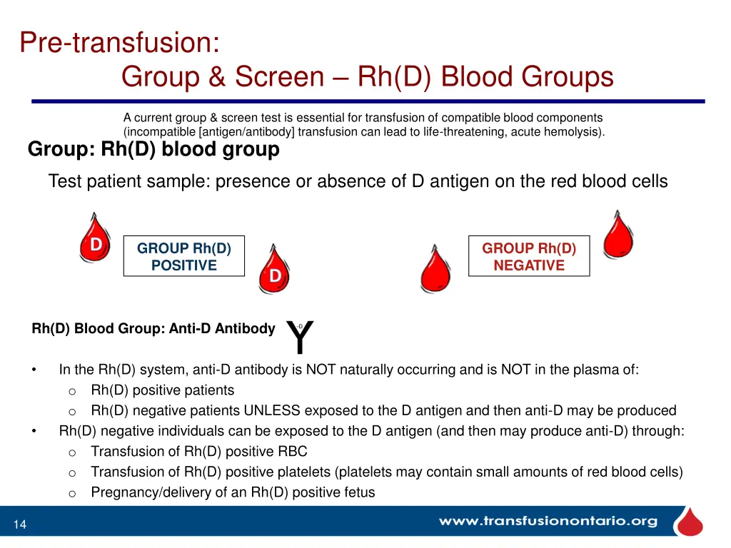 pre transfusion group screen rh d blood groups