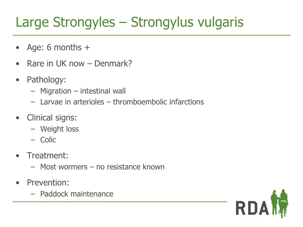 large strongyles strongylus vulgaris