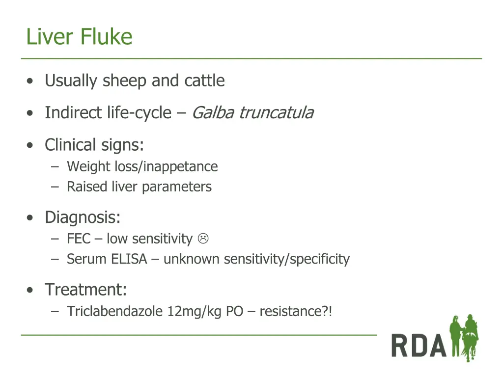 liver fluke