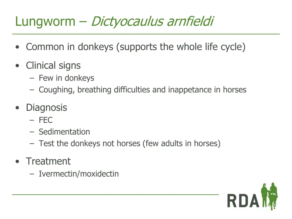 lungworm dictyocaulus arnfieldi