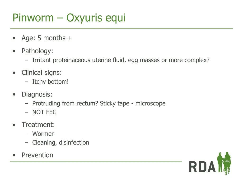 pinworm oxyuris equi