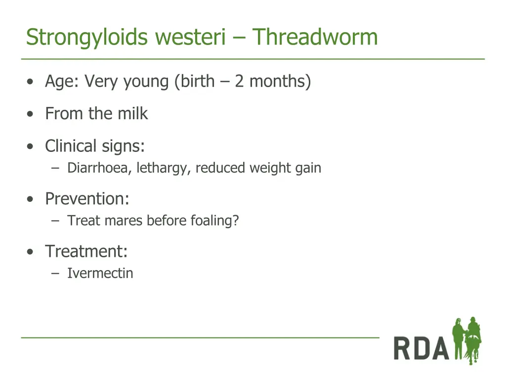 strongyloids westeri threadworm