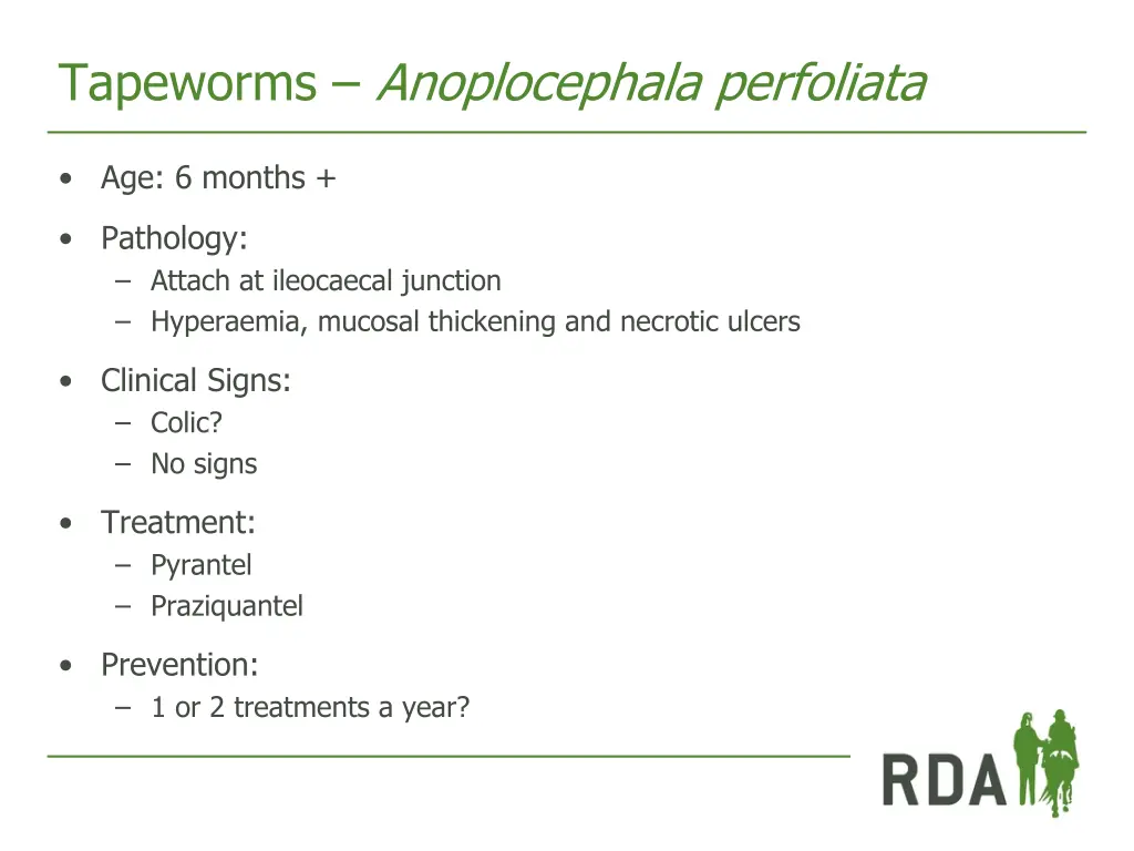 tapeworms anoplocephala perfoliata