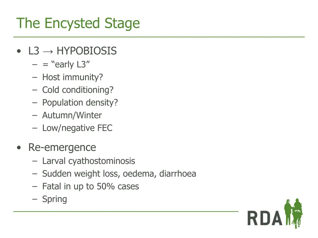 the encysted stage