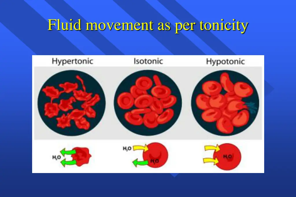 fluid movement as per tonicity