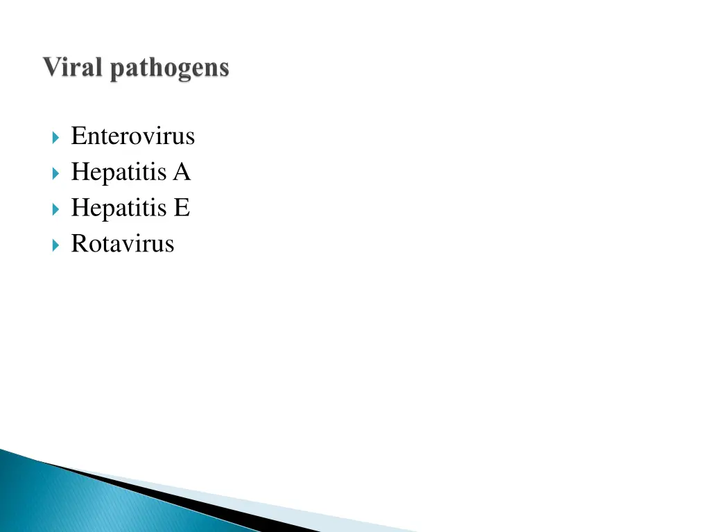 enterovirus hepatitis a hepatitis e rotavirus