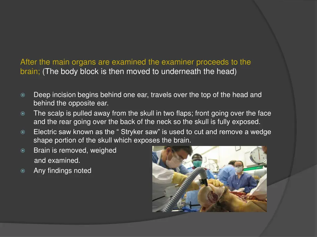 after the main organs are examined the examiner