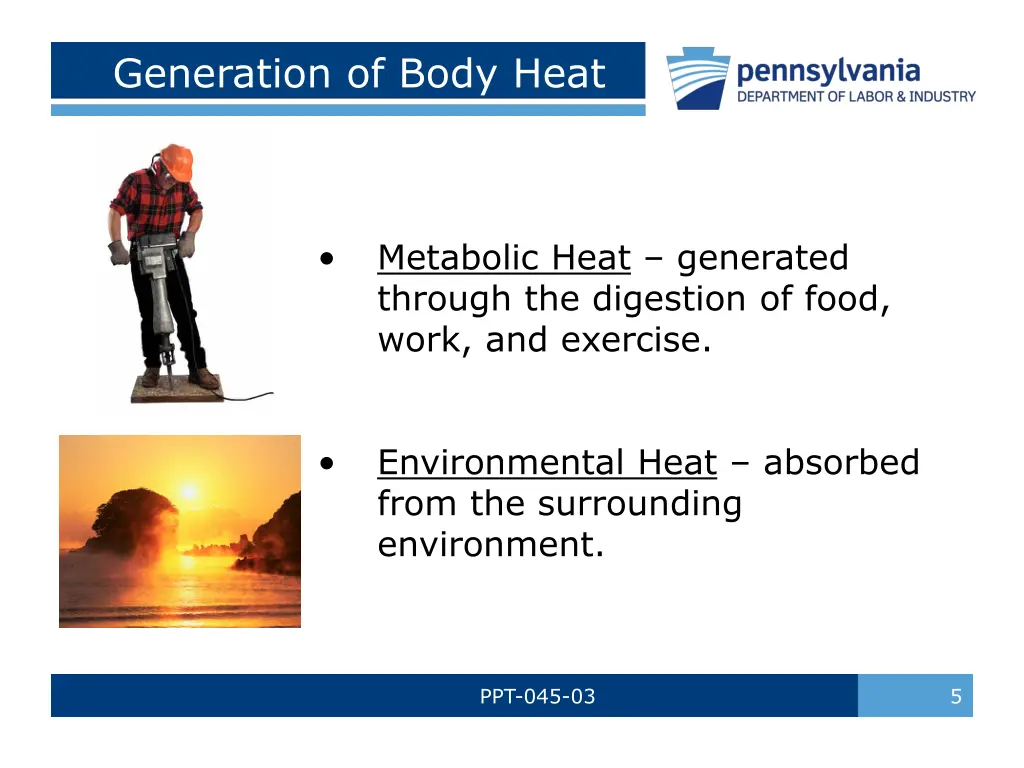 generation of body heat