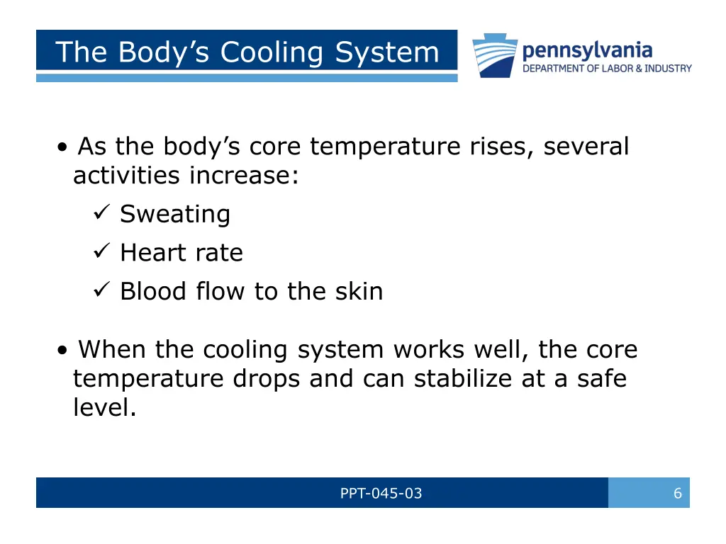 the body s cooling system