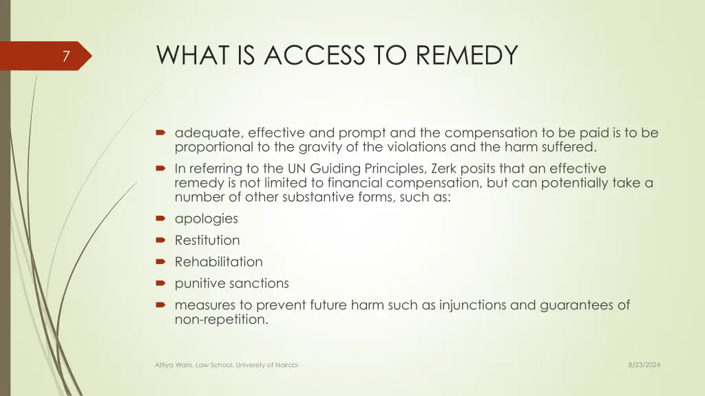 what is access to remedy