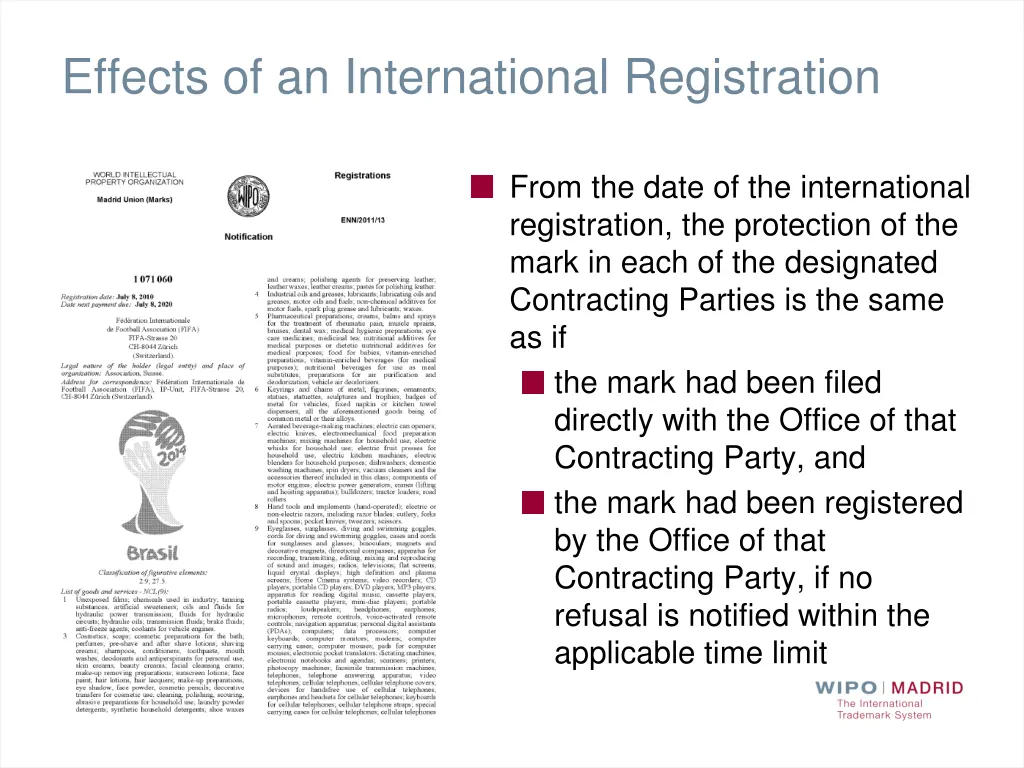 effects of an international registration