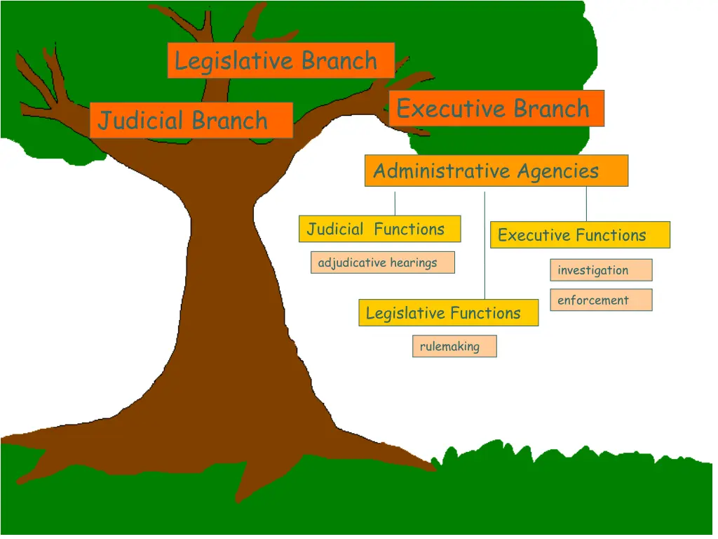 legislative branch