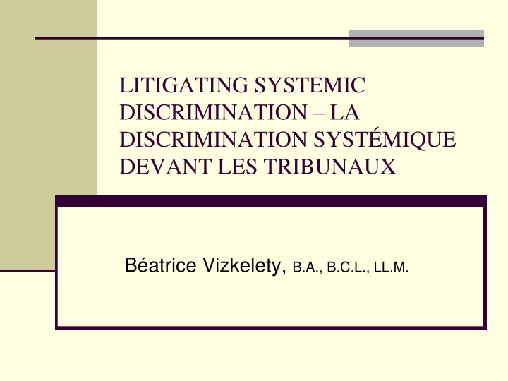 litigating systemic discrimination