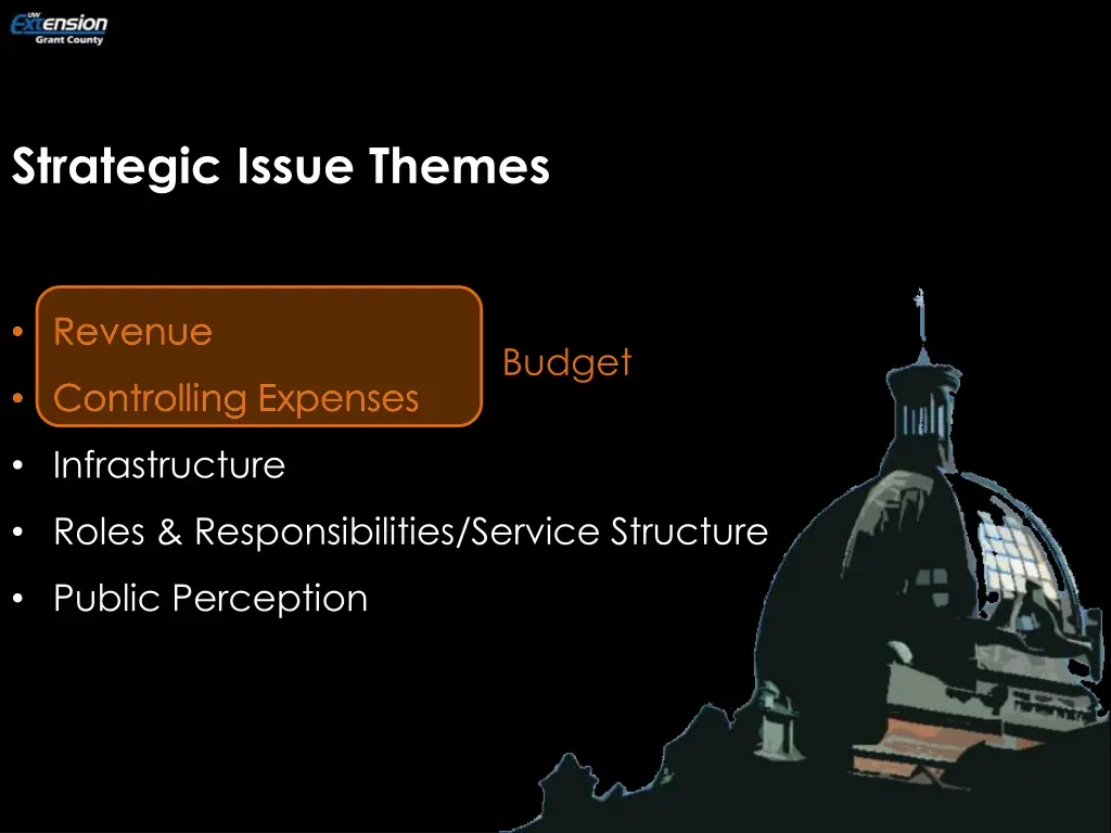 strategic issue themes