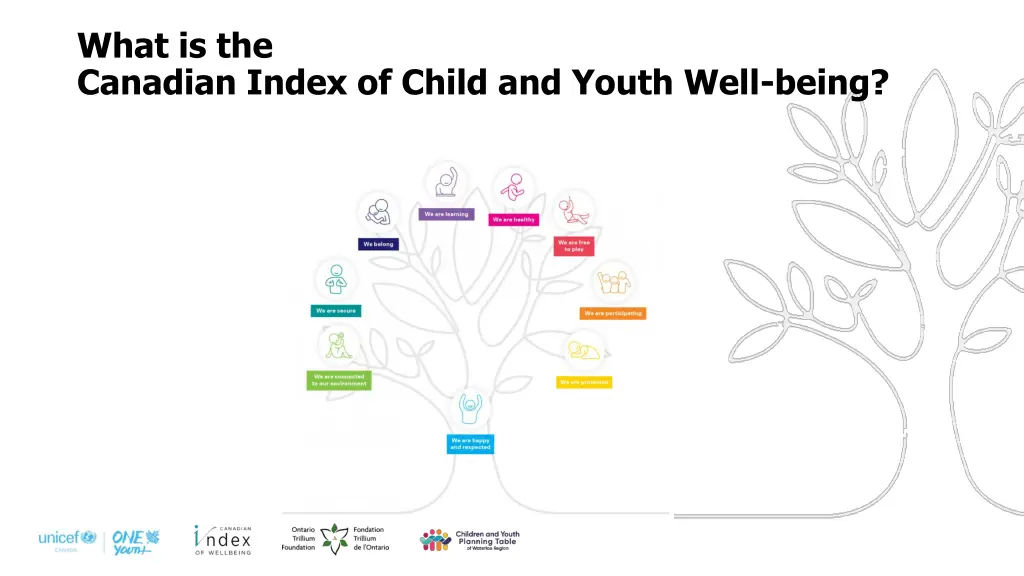 what is the canadian index of child and youth