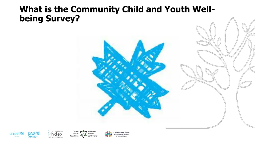 what is the community child and youth well being